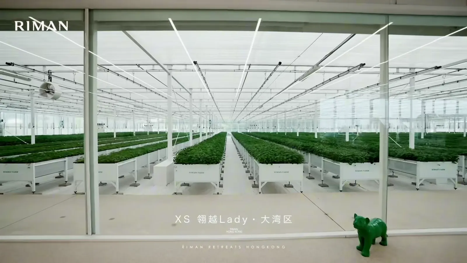 RIMAN farm greenhouse